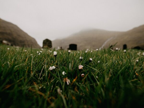Remembering Loved Ones: Haysi Funeral Home Obituaries
