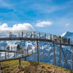 Exploring the Grindelwald First Cliff Walk and Its Thrilling Suspension Bridge