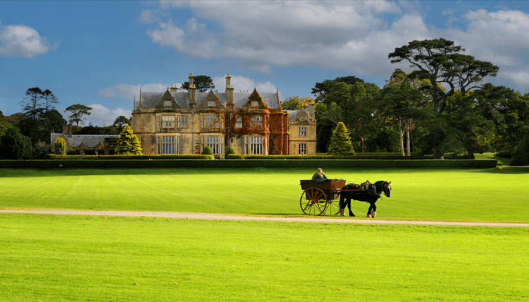 What to Expect When Visiting Muckross House and Gardens in Killarney National Park