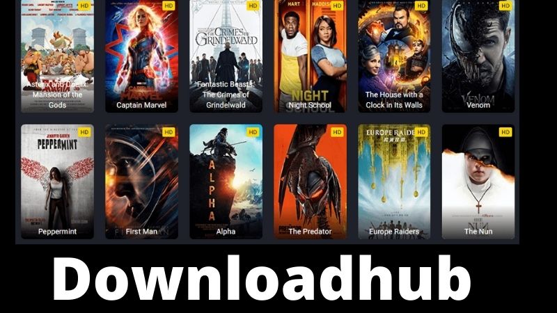 DownloadHub – Best Top 10 Movies Under 300MB Dual Audio Movies, Hindi, Punjabi Movies!